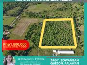 5 hectares Aborlan for 1.8M ALL IN inclusive of title...