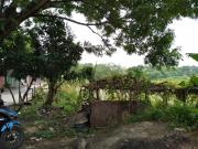 5 Hectares Industrial Lot for Sale in Valenzuela City...