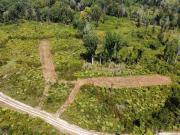 5 Highway 35, Walnut Grove, MS 39189