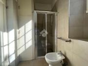5 locali in affitto