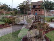 5 Marla 30 Feet Road Plot For Sale New Lahore City Royal...