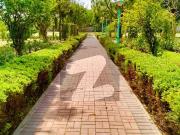 5 marla basement available for rent in bahria town lahore 5 marla basement available for rent in bahria town lahore