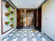 5 marla beautiful full house for rent 5 marla beautiful full house for rent