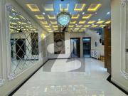 5 Marla Beautiful House Available For Rent Neat And...