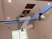 5 Marla Brand New Condition House Available For Rent In...