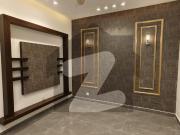 5 Marla Brand New Designer House available for rent in...