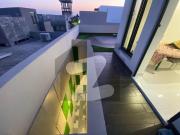 5 Marla Brand New Designer House For Sale In DHA Near To...