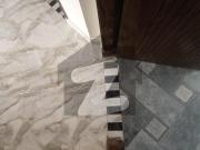 5 Marla Brand New Double Storey House Block D Royal...