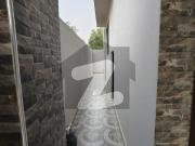 5 Marla Brand New House Facing Park For Rent DHA 11 Rahbar