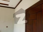 5 MARLA Brand New HOUSE FOR RENT Grand Avenues Housing...