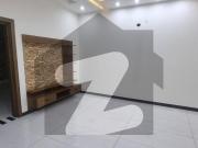 5 Marla Brand New House For Sale In Eden Executive...