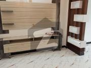 5 Marla Brand New House Is Available For Rent Jubilee Town