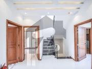 5 marla brand new super luxury house for rent dha 9 town