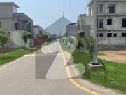 5 Marla Corner Plot For Sale In Tulip Extension Block...