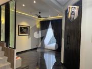 5 marla cozy charm for rent in the heart of 9 town dha 9...