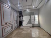 5 Marla double Store House available For Rent At...