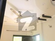 10 marla beautiful 1st floor for rent in pak arab...