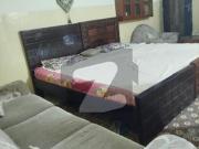 5 marla double story for rent shalimar colony