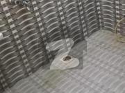 5 Marla 3rd Floor With Gas Ghauri Town Phase 4B 5 Marla 3rd Floor With Gas Ghauri Town Phase 4B