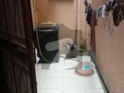 5 Marla Double Story House For Rent Johar Town 5 Marla Double Story House For Rent Johar Town