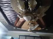 5 Marla Double Storey House with Gas in Ghauri Ghouri... 5 Marla Double Storey House with Gas in Ghauri Ghouri...