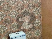 5 Marla Double Unit House Misryal Road