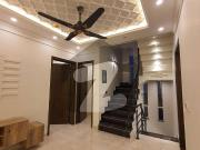 5 marla elegant and fully maintained super hot located... 5 marla elegant and fully maintained super hot located...