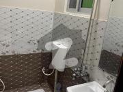 5 Marla Full Brand New House Available For Rent Pak Arab... 5 Marla Full Brand New House Available For Rent Pak Arab...