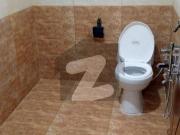 5 Marla Full House For Rent Hayatabad Phase 6