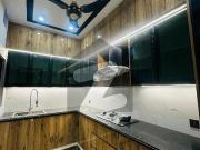 5 Marla House Available For Rent In Royal Orchard