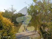 5 Marla House Facing Park Gardenia Block Bahria Town Lahore