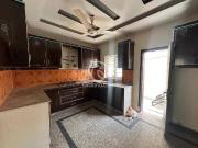 5 Marla House for Rent