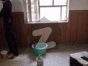 5 Marla House For Rent Allama Iqbal Town Neelam Block