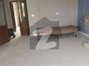 5 Marla House For Rent Available In DHA Rubber 11 Sector 2