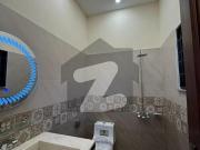 5 Marla House For Rent In L Block Khayaban E Amin...