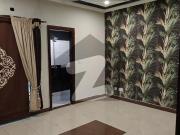 5 Marla House For Rent With Gas 6kv Solar Installed...