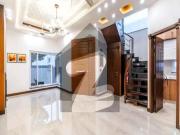 Original Pictures 5 Marla Lavish Bungalow For Rent In...