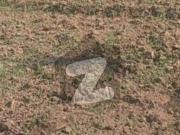 5 Marla Level Plot Available For Sale