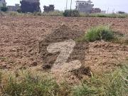 5 Marla Level Plot Near Park Good Location