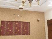 5 Marla Like a Brand New House Available for Rent in...