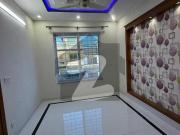 5 Marla Like Brand New House For Rent In G 14/4...