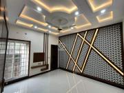 5 Marla Lower portion for Rent