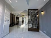 5 marla most beautiful house for rent in dha 9 town