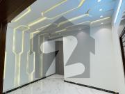 5 Marla New Brand Double Storey House Eden Orchard...