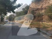 5 Marla Open Transfer Plots For Sale