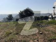 5 Marla Outstanding Investment In Islamabad