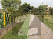 5 Marla Plot Available For Sale In I 16