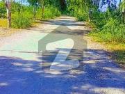 5 Marla Plot For Sale In Gulshan E Kashmir/Asian Housing...