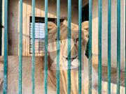 5 Marla Plot For Sale In Iqbal Garden Lahore