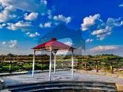 5 Marla Residential Plot. Available For Sale In Wapda...